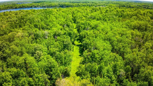 0000 Deervine Trl NE, Tenstrike, MN 56683