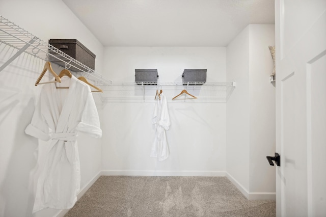 spacious closet with carpet
