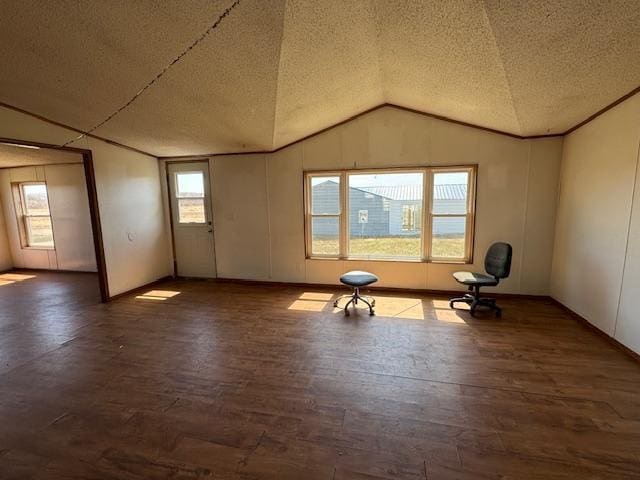 interior space with lofted ceiling, a textured ceiling, wood finished floors, and plenty of natural light