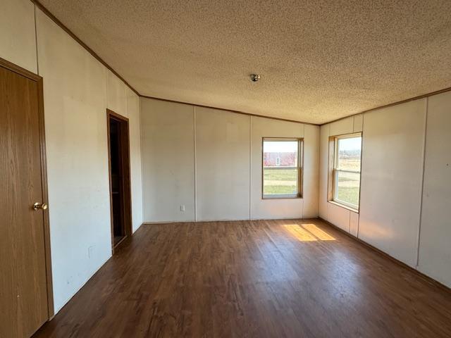 spare room with wood finished floors, a textured ceiling, and crown molding