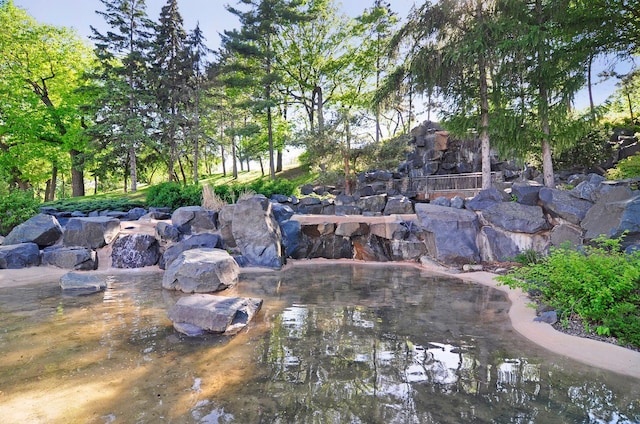 view of yard featuring a garden pond