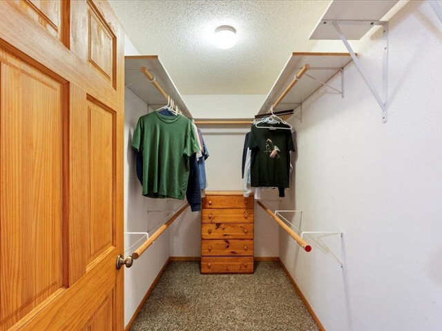 1587 Stallion Rd SW, Pillager, MN 56473 - walk in closet with light carpet