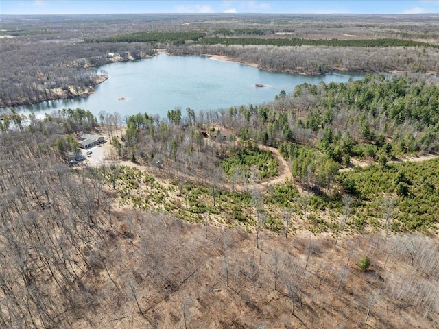 1587 Stallion Rd SW, Pillager, MN 56473 - bird's eye view with a water view and a view of trees
