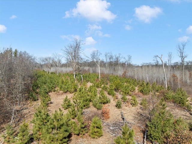 1587 Stallion Rd SW, Pillager, MN 56473 - view of nature