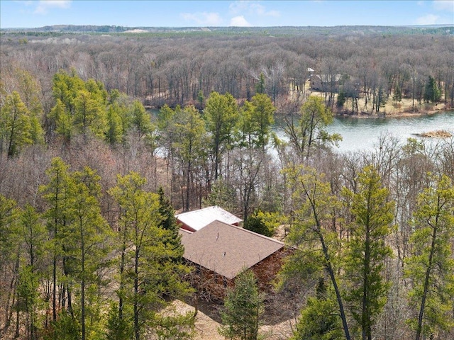 1587 Stallion Rd SW, Pillager, MN 56473 - drone / aerial view with a water view and a view of trees
