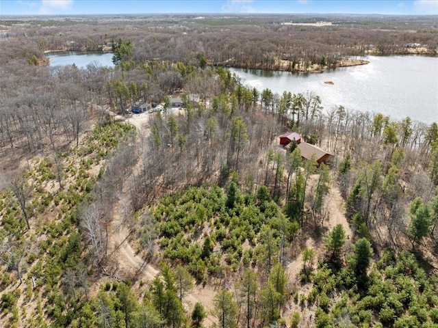 1587 Stallion Rd SW, Pillager, MN 56473 - aerial view with a wooded view and a water view
