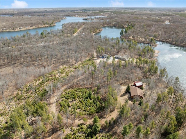 1587 Stallion Rd SW, Pillager, MN 56473 - bird's eye view featuring a wooded view and a water view