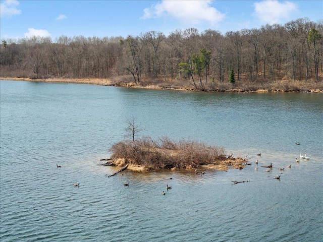 1587 Stallion Rd SW, Pillager, MN 56473 - water view featuring a view of trees