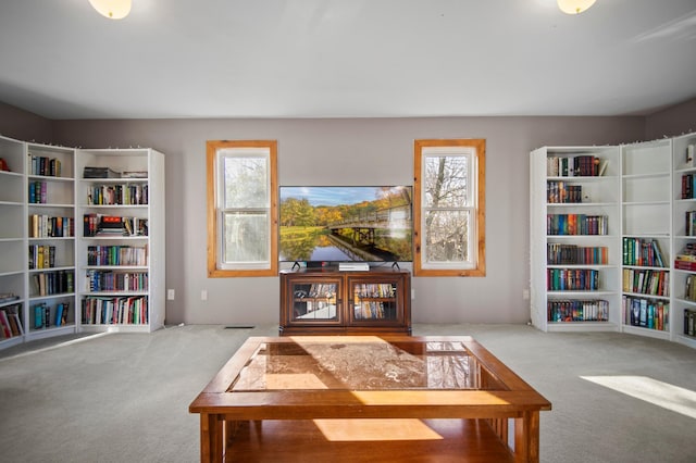 13150 345th Ave, Waseca, MN 56093 - living area featuring bookshelves, carpet, and plenty of natural light
