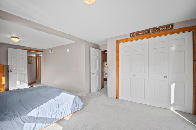 13150 345th Ave, Waseca, MN 56093 - carpeted bedroom featuring a closet