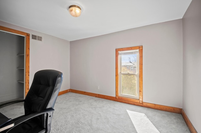 13150 345th Ave, Waseca, MN 56093 - office space with carpet, visible vents, and baseboards