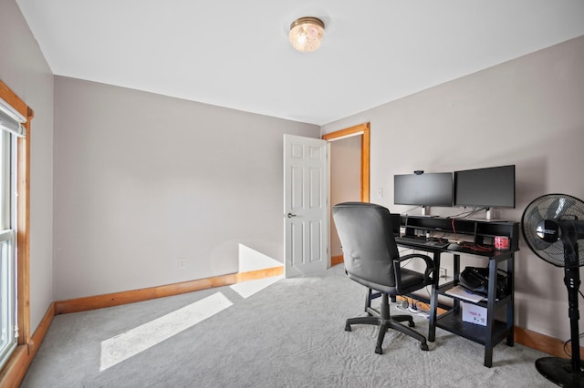 13150 345th Ave, Waseca, MN 56093 - office area featuring baseboards and carpet flooring