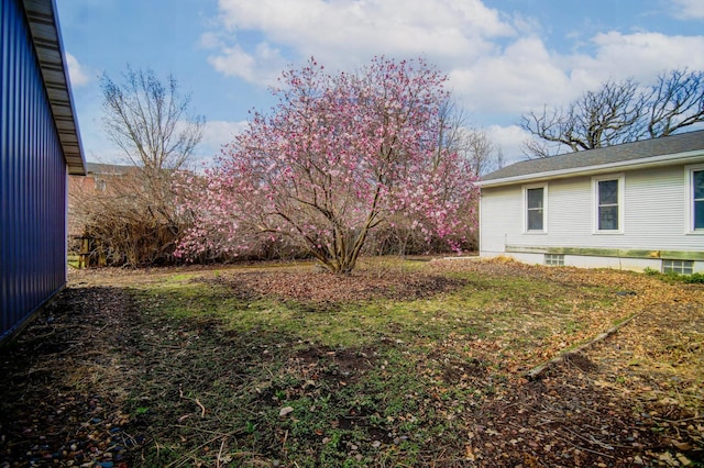 13150 345th Ave, Waseca, MN 56093 - view of yard