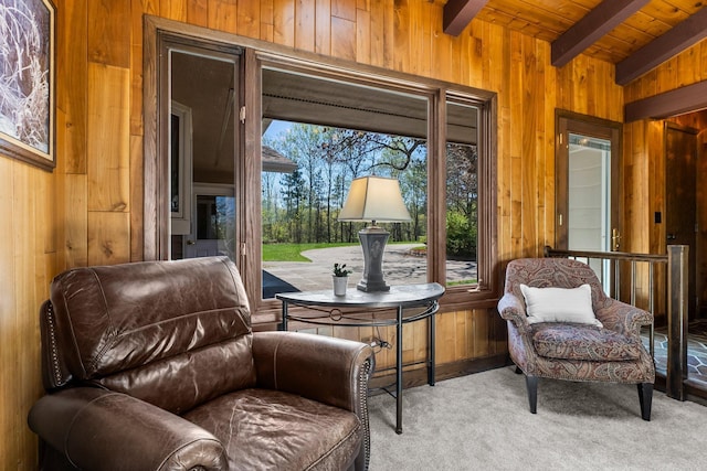 living area featuring wood walls, wooden ceiling, and carpet