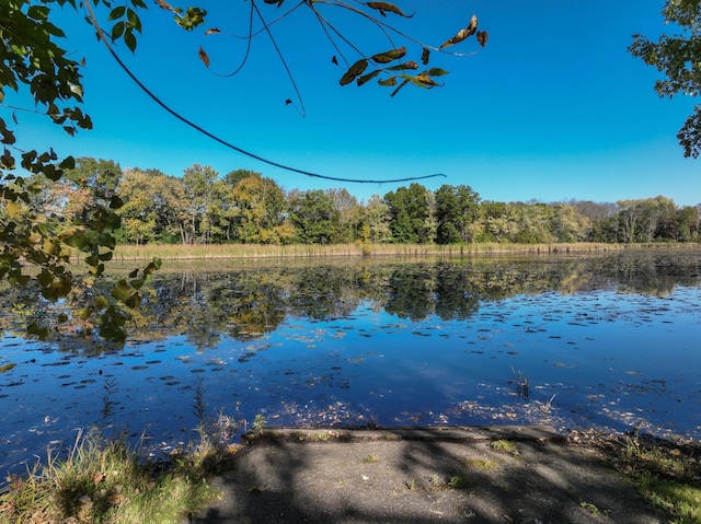water view with a heavily wooded area