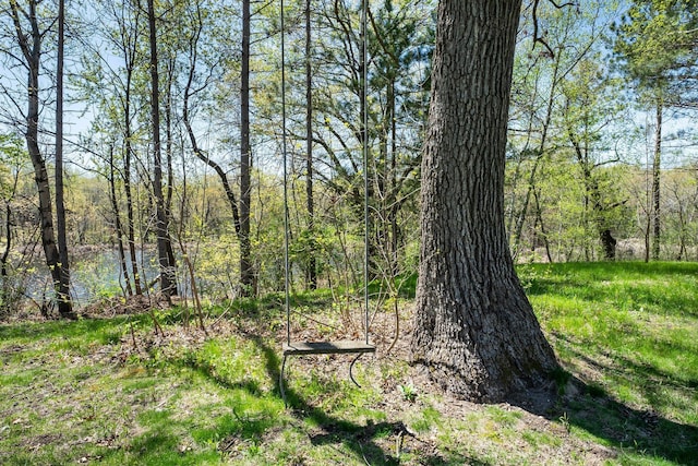 view of undeveloped land