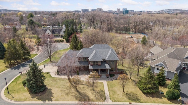 bird's eye view