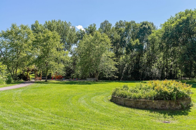 surrounding community featuring a lawn