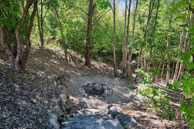 view of nature with a forest view