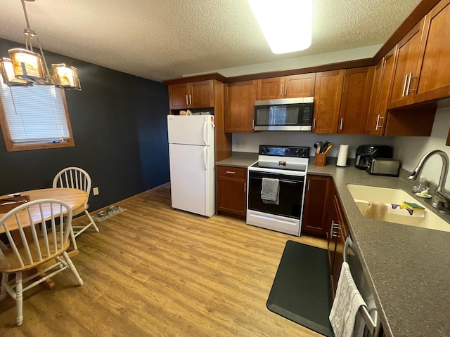 301 1st St, Adrian, MN 56110 - kitchen featuring a sink, stainless steel microwave, freestanding refrigerator, light wood-style floors, and electric stove