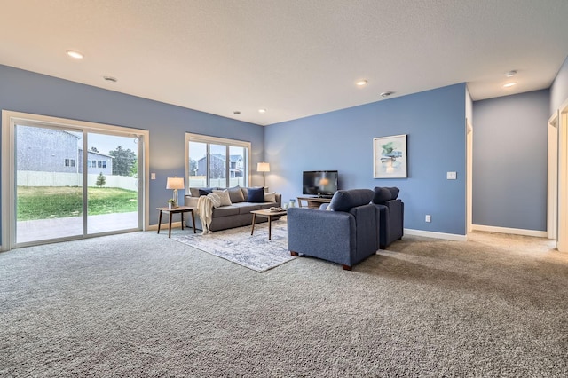 15141 Partridge St NW, Andover, MN 55304 - living room with carpet floors, baseboards, and recessed lighting