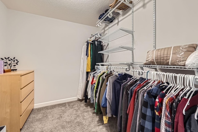 15141 Partridge St NW, Andover, MN 55304 - walk in closet with carpet floors