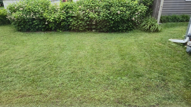 1509 2nd Ave SW, Austin, MN 55912 - view of green lawn