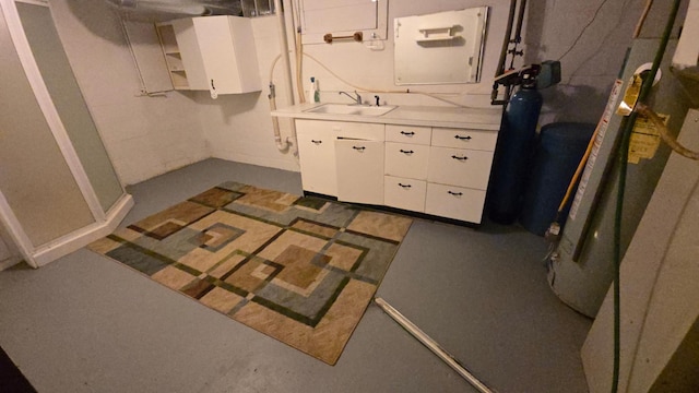 1509 2nd Ave SW, Austin, MN 55912 - basement with a sink