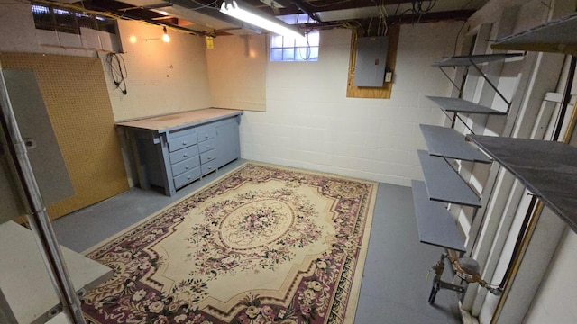 1509 2nd Ave SW, Austin, MN 55912 - basement featuring electric panel and concrete block wall