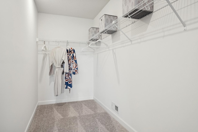 walk in closet featuring visible vents and carpet flooring
