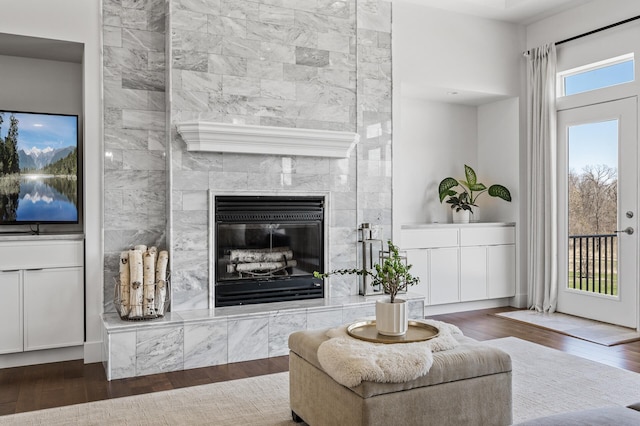 living area featuring wood finished floors and a high end fireplace