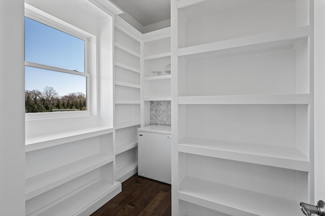 walk in closet with dark wood-type flooring