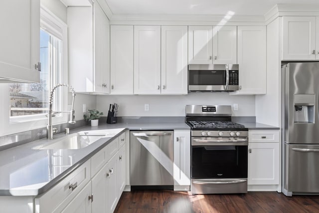 1744 Jefferson Ave, Saint Paul, MN 55105 - kitchen featuring stainless steel appliances, a sink, white cabinets, and dark wood finished floors