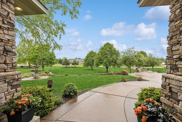 3041 209th Ln NW, Oak Grove, MN 55011 - view of grassy yard