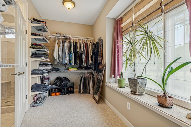 3041 209th Ln NW, Oak Grove, MN 55011 - spacious closet featuring carpet