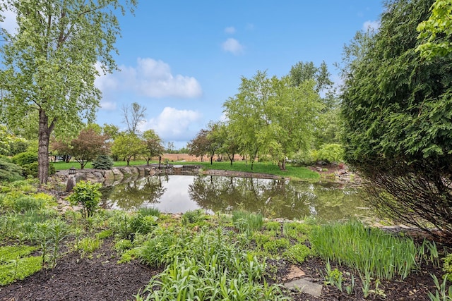 3041 209th Ln NW, Oak Grove, MN 55011 - water view