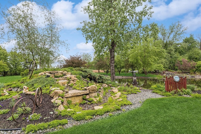 3041 209th Ln NW, Oak Grove, MN 55011 - view of yard