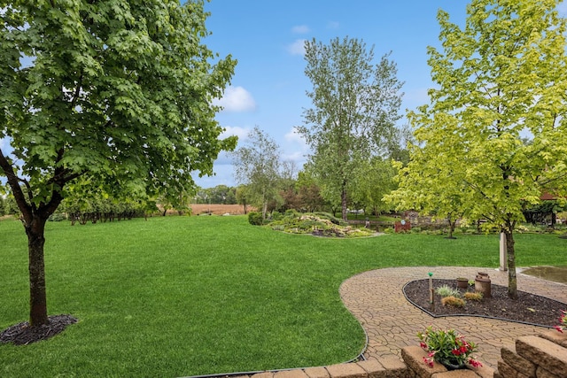 3041 209th Ln NW, Oak Grove, MN 55011 - view of green lawn