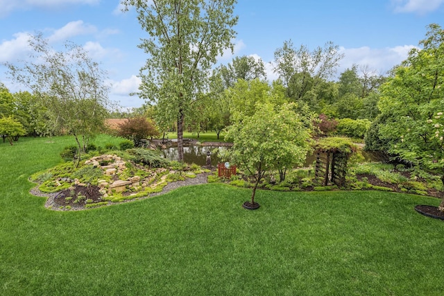 3041 209th Ln NW, Oak Grove, MN 55011 - view of grassy yard