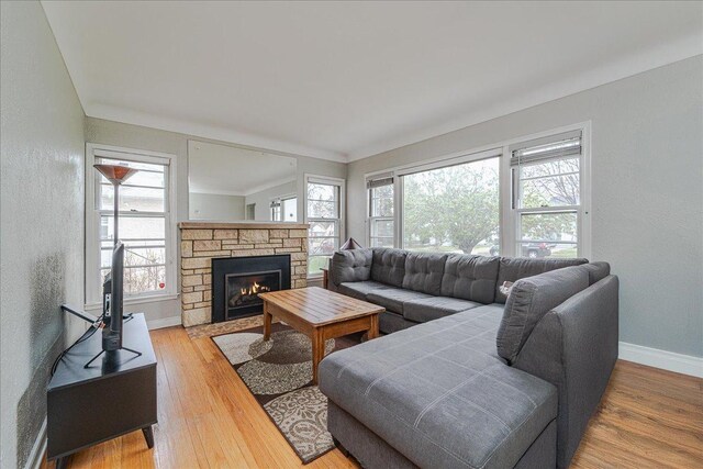 living area featuring baseboards, wood finished floors, and a fireplace