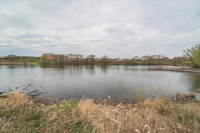 property view of water
