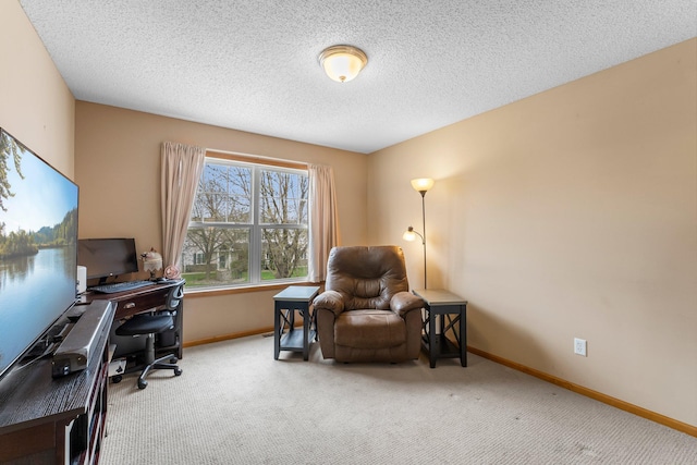 1893 13th St W, Hastings, MN 55033 - carpeted office space featuring baseboards and a textured ceiling