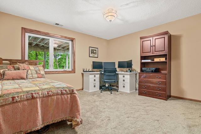 5450 Raven Point Rd, Prior Lake, MN 55372 - bedroom with carpet floors, an office area, baseboards, and a textured ceiling