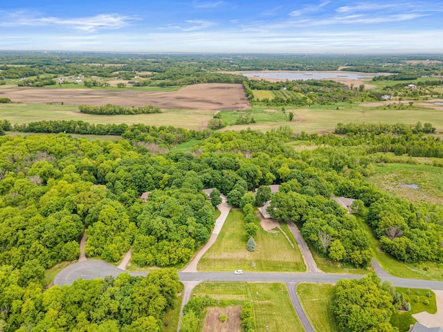 5450 Raven Point Rd, Prior Lake, MN 55372 - drone / aerial view