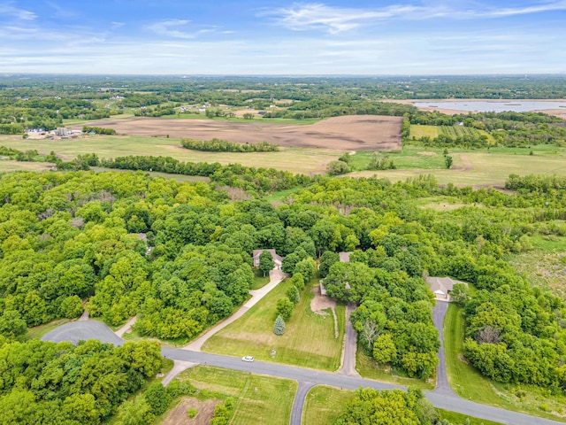 5450 Raven Point Rd, Prior Lake, MN 55372 - aerial view of a nearby body of water