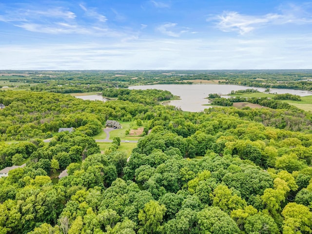 5450 Raven Point Rd, Prior Lake, MN 55372 - aerial view of a nearby body of water and a heavily wooded area