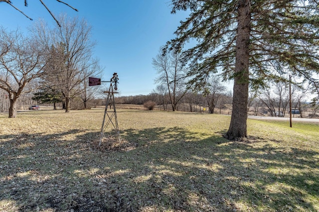 17071 County Highway 35, Dalton, MN 56324 - photo 60