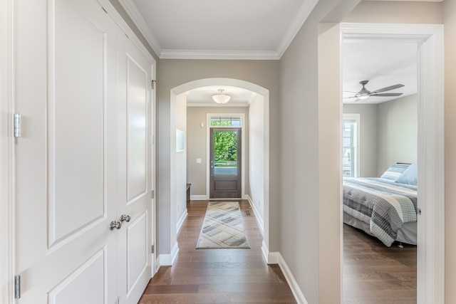 11328 Blazingstar Ln, Lake Elmo, MN 55042 - foyer featuring arched walkways, wood finished floors, crown molding, and baseboards