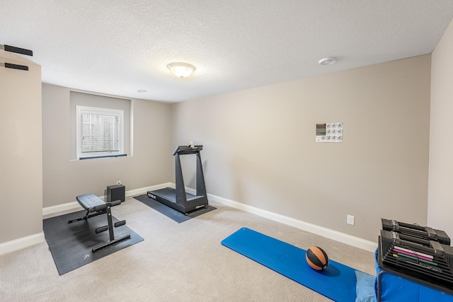 11328 Blazingstar Ln, Lake Elmo, MN 55042 - exercise room with carpet, baseboards, and a textured ceiling