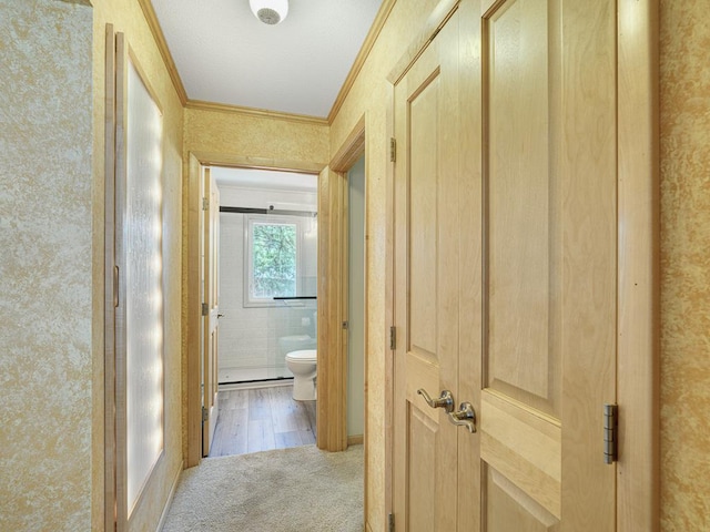 hallway with crown molding, wallpapered walls, and carpet floors